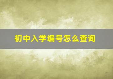 初中入学编号怎么查询