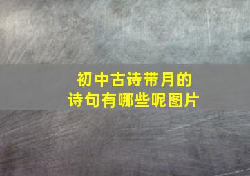 初中古诗带月的诗句有哪些呢图片