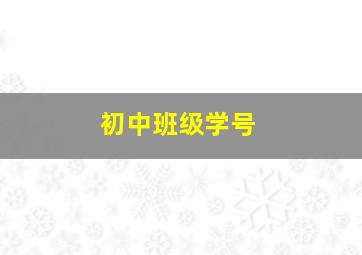 初中班级学号