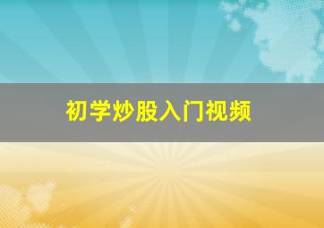 初学炒股入门视频