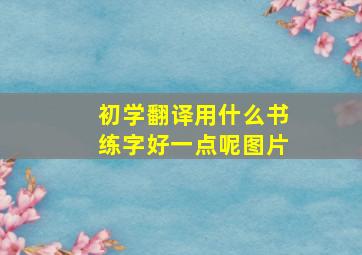 初学翻译用什么书练字好一点呢图片