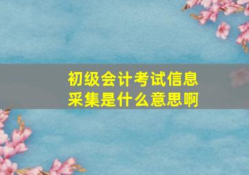 初级会计考试信息采集是什么意思啊