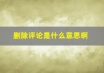 删除评论是什么意思啊