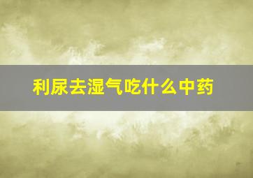 利尿去湿气吃什么中药