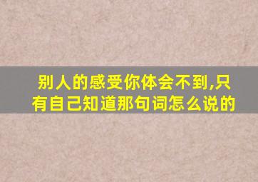 别人的感受你体会不到,只有自己知道那句词怎么说的