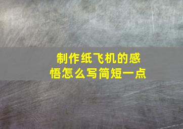 制作纸飞机的感悟怎么写简短一点