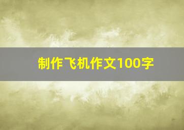 制作飞机作文100字