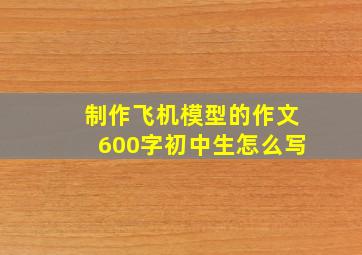 制作飞机模型的作文600字初中生怎么写