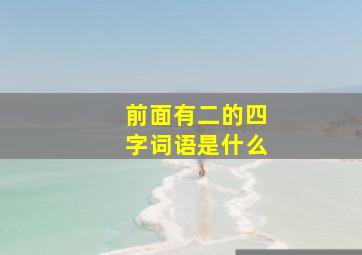 前面有二的四字词语是什么