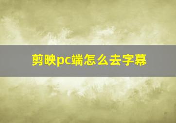 剪映pc端怎么去字幕