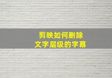 剪映如何删除文字层级的字幕