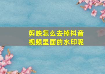 剪映怎么去掉抖音视频里面的水印呢