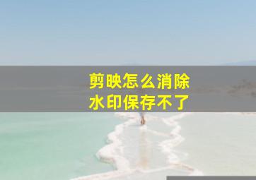 剪映怎么消除水印保存不了