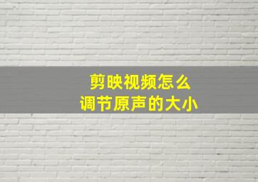 剪映视频怎么调节原声的大小