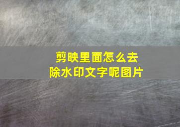 剪映里面怎么去除水印文字呢图片