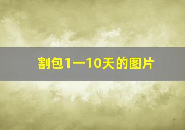 割包1一10天的图片