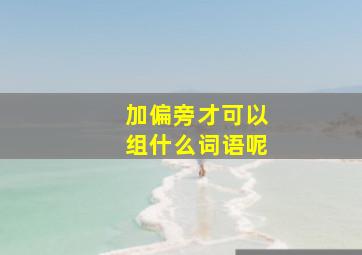 加偏旁才可以组什么词语呢