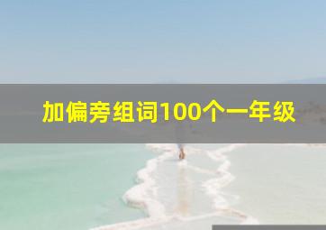 加偏旁组词100个一年级