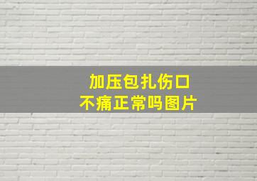 加压包扎伤口不痛正常吗图片