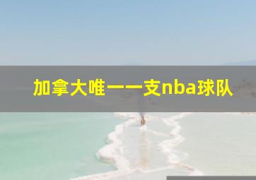 加拿大唯一一支nba球队