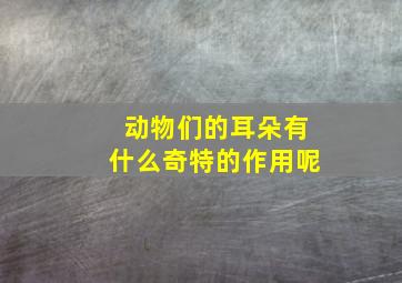 动物们的耳朵有什么奇特的作用呢