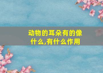 动物的耳朵有的像什么,有什么作用