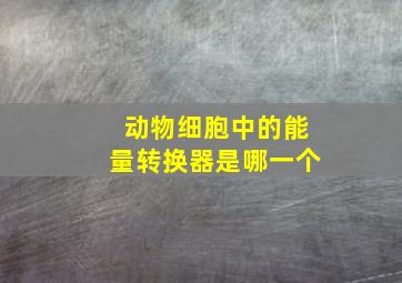 动物细胞中的能量转换器是哪一个