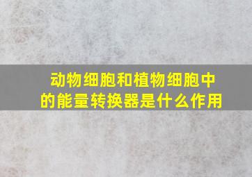 动物细胞和植物细胞中的能量转换器是什么作用