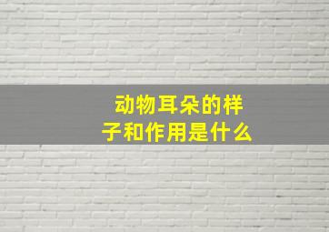 动物耳朵的样子和作用是什么