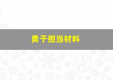 勇于担当材料