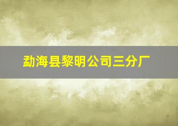 勐海县黎明公司三分厂