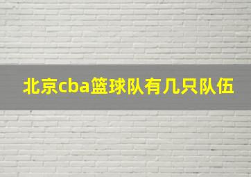 北京cba篮球队有几只队伍