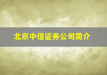 北京中信证券公司简介