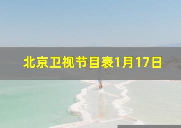 北京卫视节目表1月17日