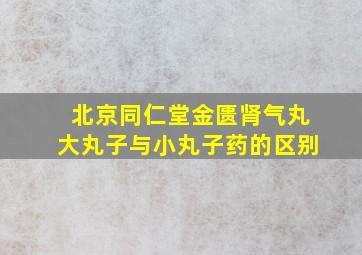 北京同仁堂金匮肾气丸大丸子与小丸子药的区别