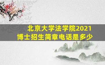 北京大学法学院2021博士招生简章电话是多少