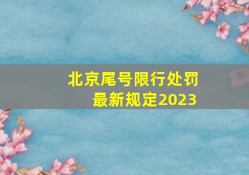 北京尾号限行处罚最新规定2023