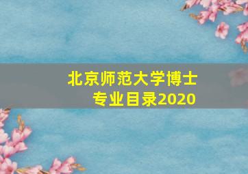 北京师范大学博士专业目录2020