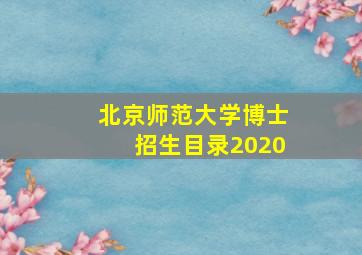 北京师范大学博士招生目录2020