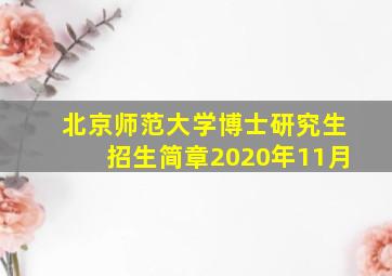 北京师范大学博士研究生招生简章2020年11月