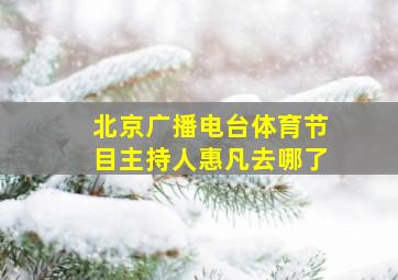 北京广播电台体育节目主持人惠凡去哪了