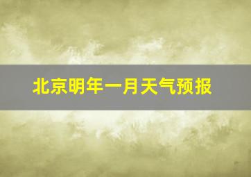 北京明年一月天气预报