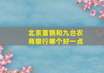 北京首钢和九台农商银行哪个好一点