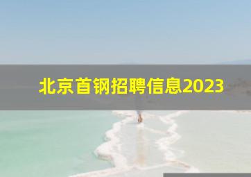 北京首钢招聘信息2023