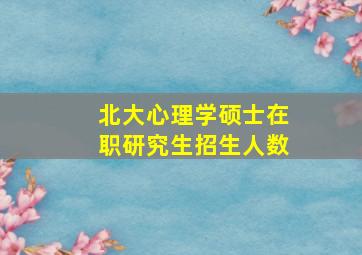 北大心理学硕士在职研究生招生人数