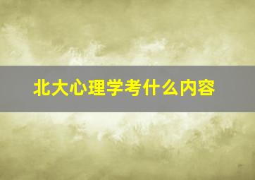 北大心理学考什么内容