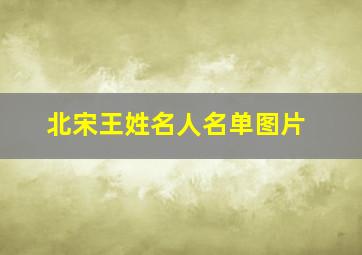 北宋王姓名人名单图片