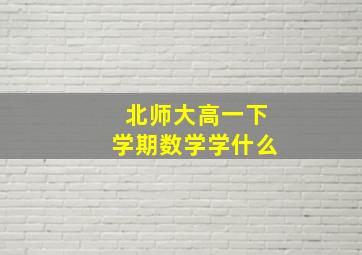 北师大高一下学期数学学什么