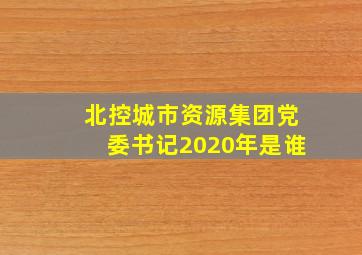 北控城市资源集团党委书记2020年是谁