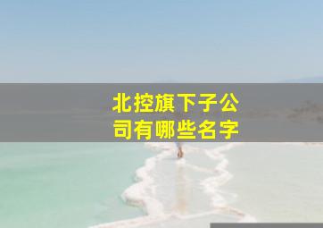 北控旗下子公司有哪些名字